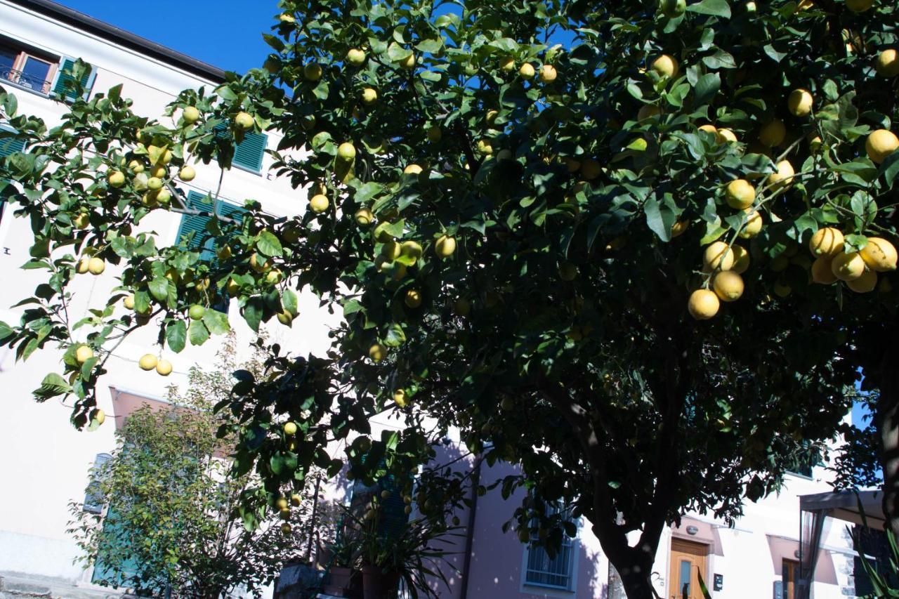 Appartamento Cielo&Terra2 Levanto Exterior photo